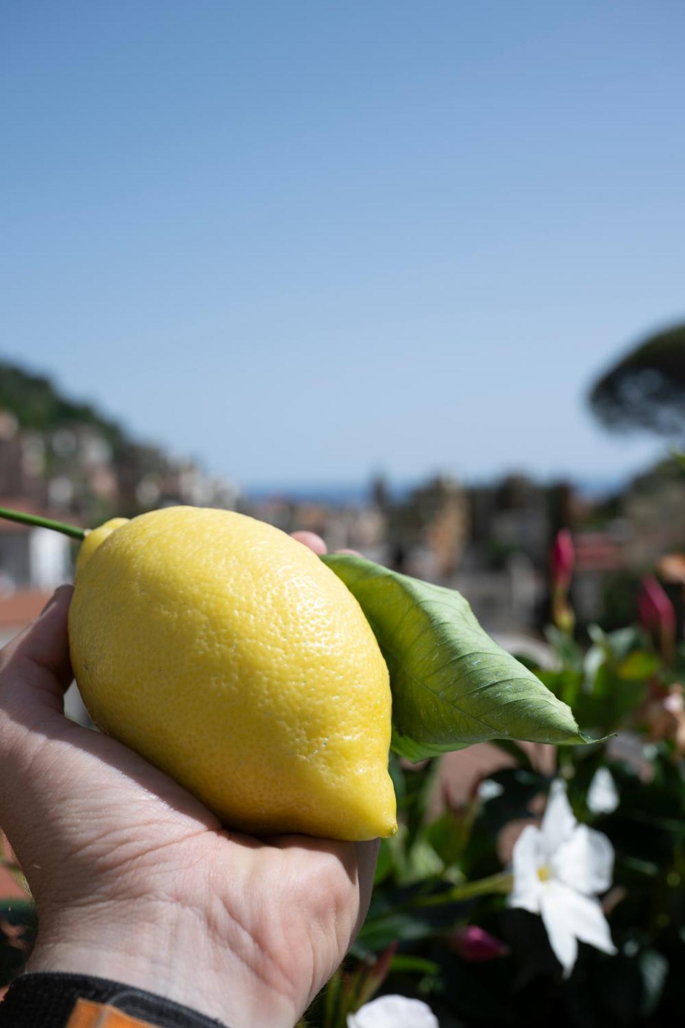 Valle D'Amalfi Suites ภายนอก รูปภาพ